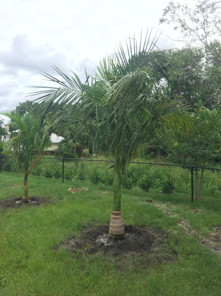 Landscaping by Rooted Landscape Services Of IRC LLC - Photo 13