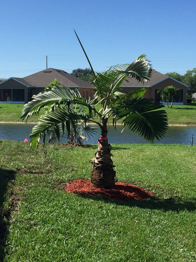 Landscaping by Rooted Landscape Services Of IRC LLC - Photo 5