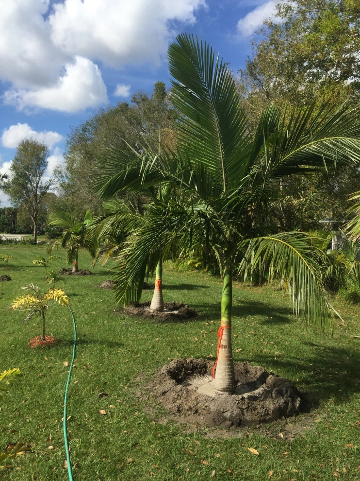 Landscaping by Rooted Landscape Services Of IRC LLC - Photo 7