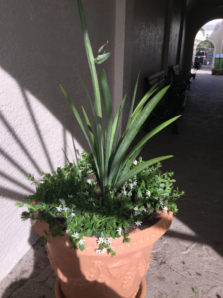 Landscaping by Rooted Landscape Services Of IRC LLC - Photo 15