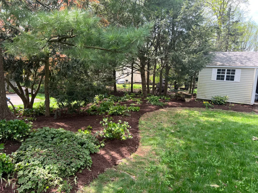 Landscaping: Pruning, Edging, Planting, and Mulching by Brothers Designs LLC - Photo 4