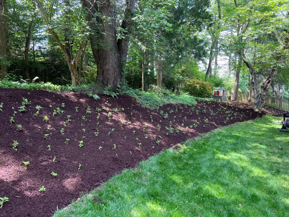 Landscaping: Pruning, Edging, Planting, and Mulching by Brothers Designs LLC - Photo 13