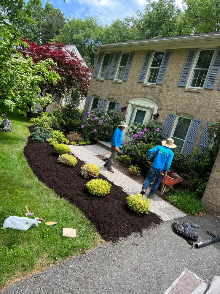 Landscaping: Pruning, Edging, Planting, and Mulching by Brothers Designs LLC - Photo 16