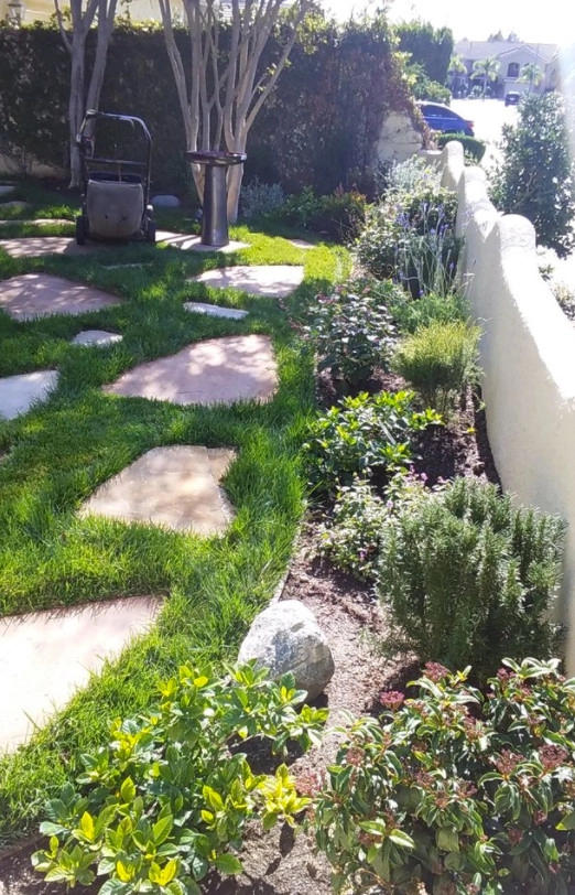 Rosainz Landscape And Maintenance - Photo 3