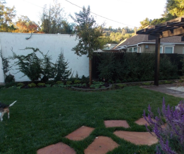 Rosainz Landscape And Maintenance - Photo 8
