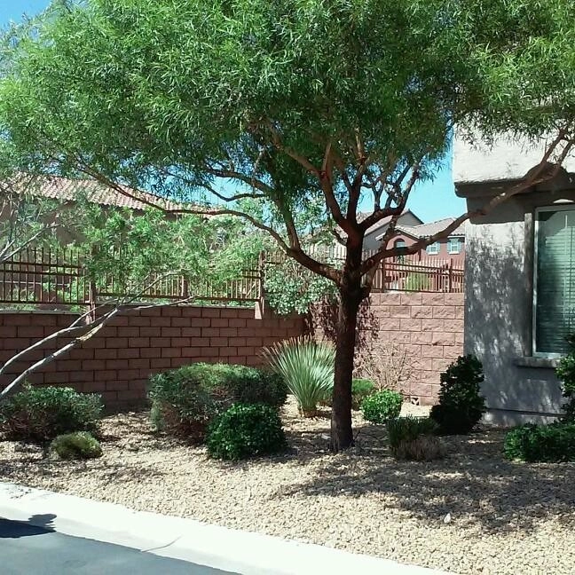 Ruben's Lawn Service - Photo 8
