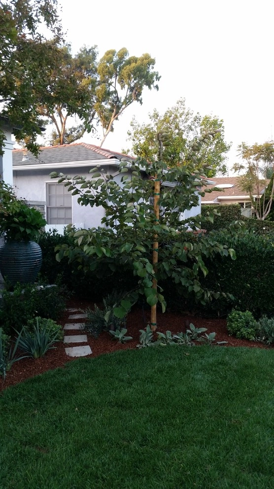 SAN BERNARDINO AVE, NEWPORT BEACH, CA by Ryan Burress - Landscape Design & Build - Photo 4