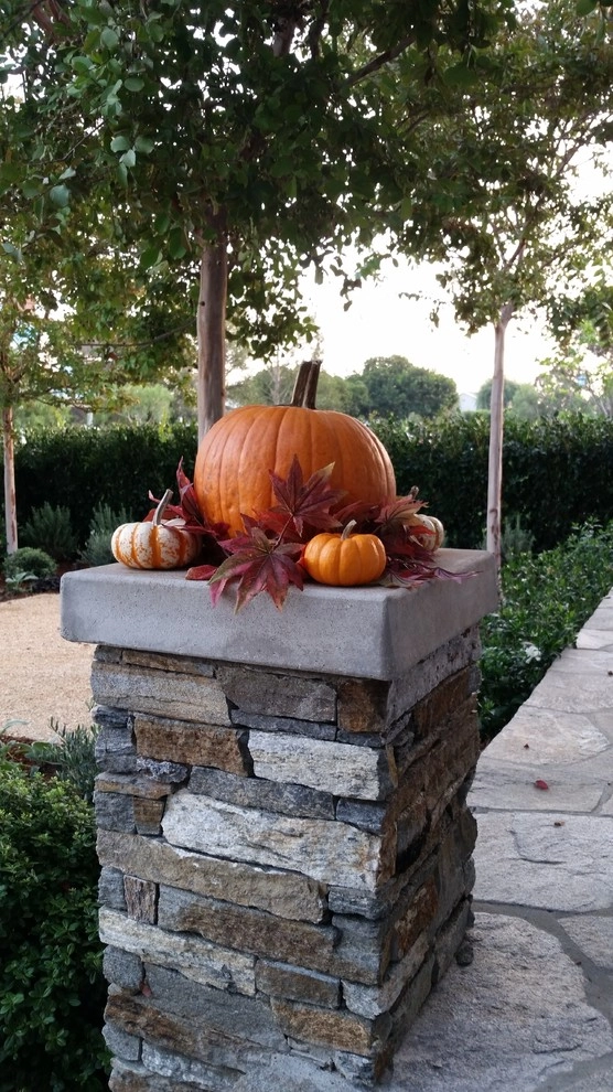 SAN BERNARDINO AVE, NEWPORT BEACH, CA by Ryan Burress - Landscape Design & Build - Photo 5