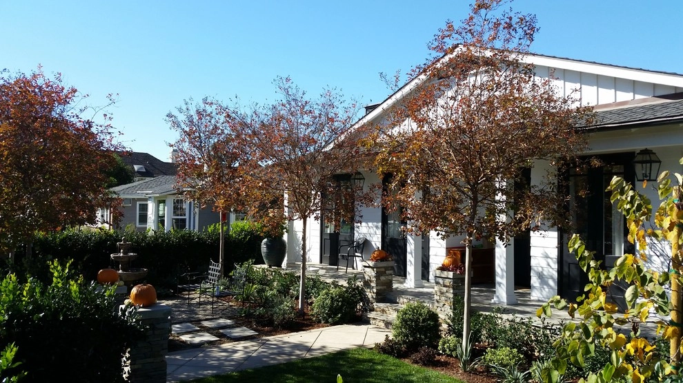 SAN BERNARDINO AVE, NEWPORT BEACH, CA by Ryan Burress - Landscape Design & Build - Photo 2