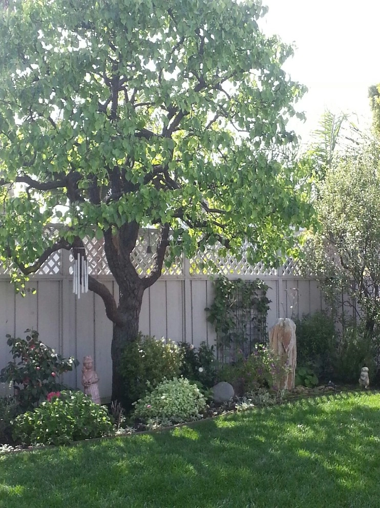 Ryan Burress - Landscape Design & Build - Photo 5