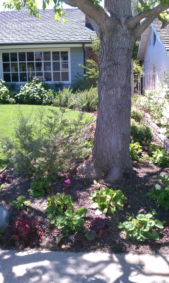 Ryan Burress - Landscape Design & Build - Photo 9