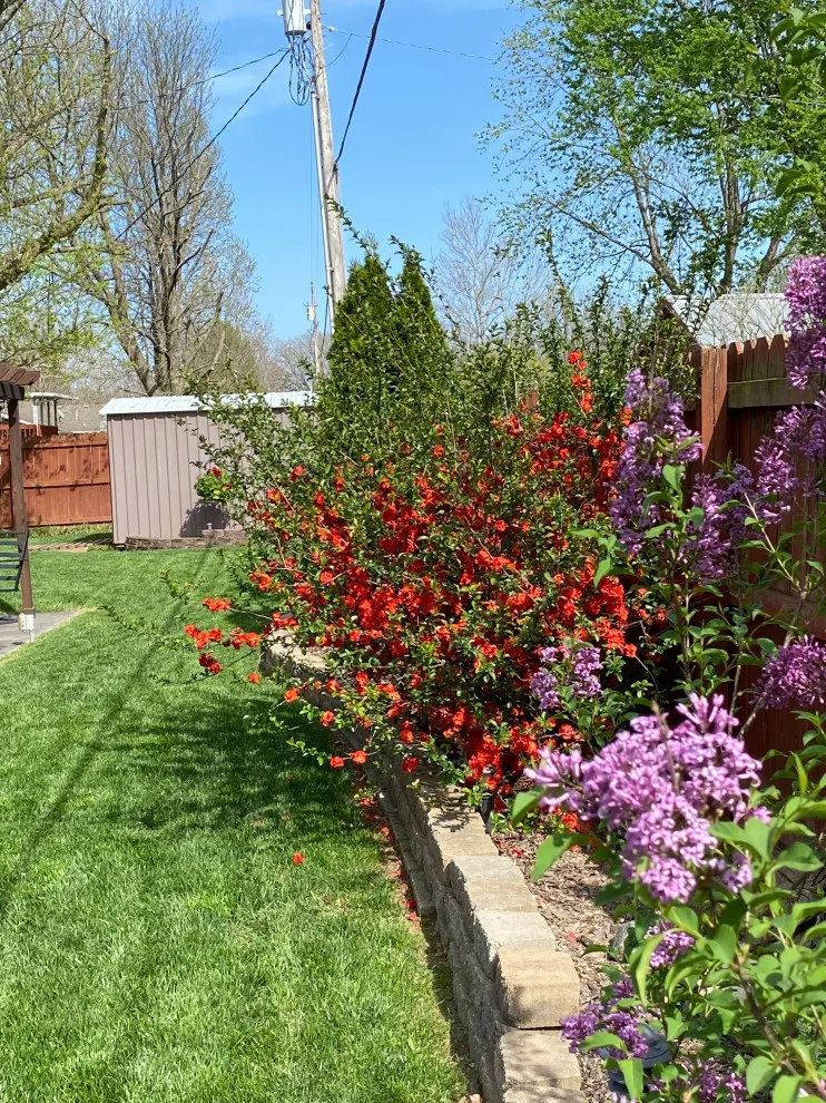 Example Projects by EcoWorx Outdoor Creations, LLC - Photo 15
