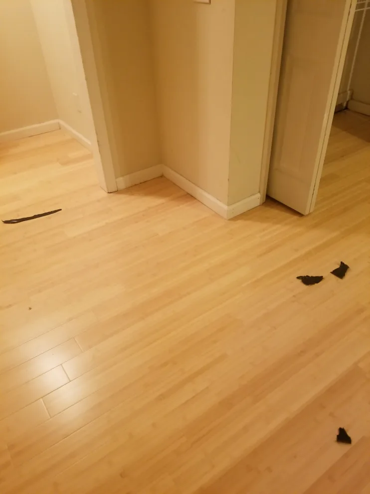 Bamboo Flooring Solutions by Hands On Woodworking LLC - Photo 8