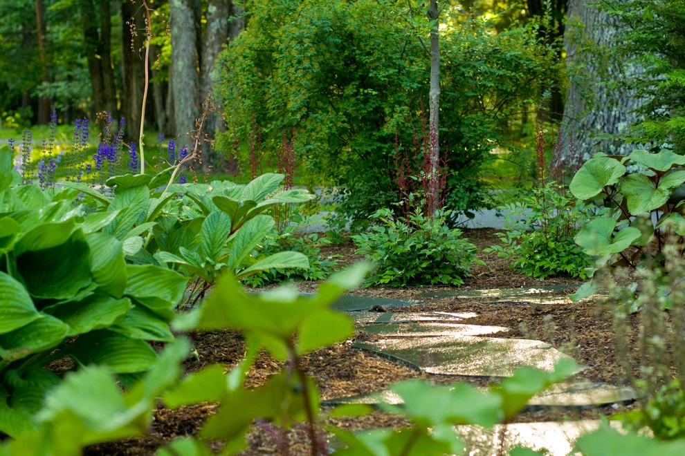 S & D Landscapes LLC - Photo 4