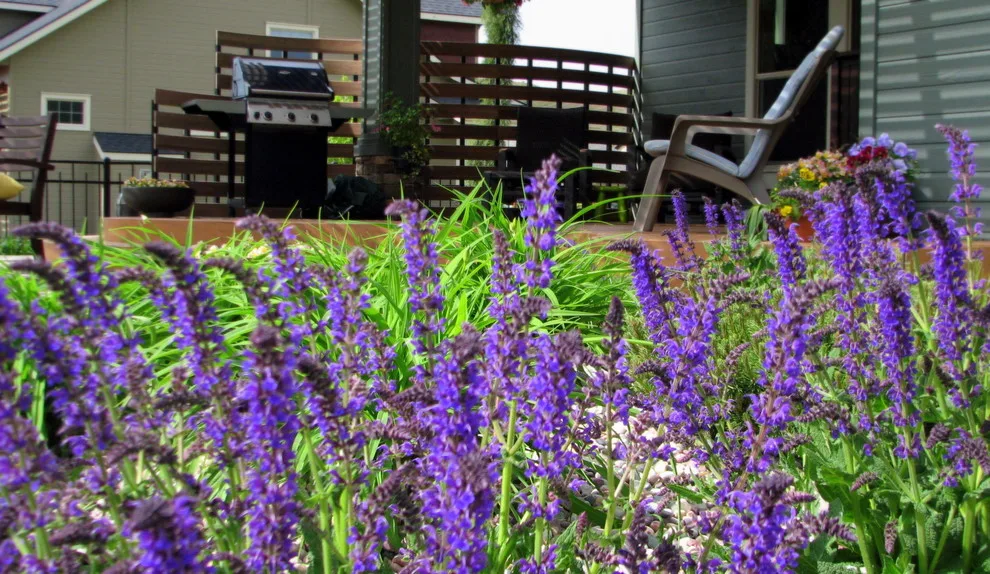 Hidden Springs II by Chuck B Edwards Landscape Architecture & 3D - Photo 47