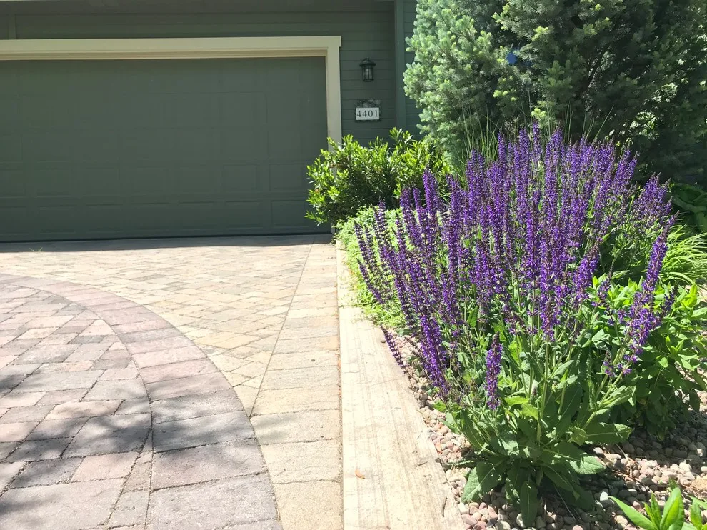 Hidden Springs II by Chuck B Edwards Landscape Architecture & 3D - Photo 43