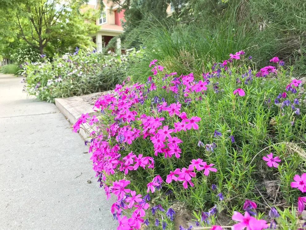 Hidden Springs II by Chuck B Edwards Landscape Architecture & 3D - Photo 86