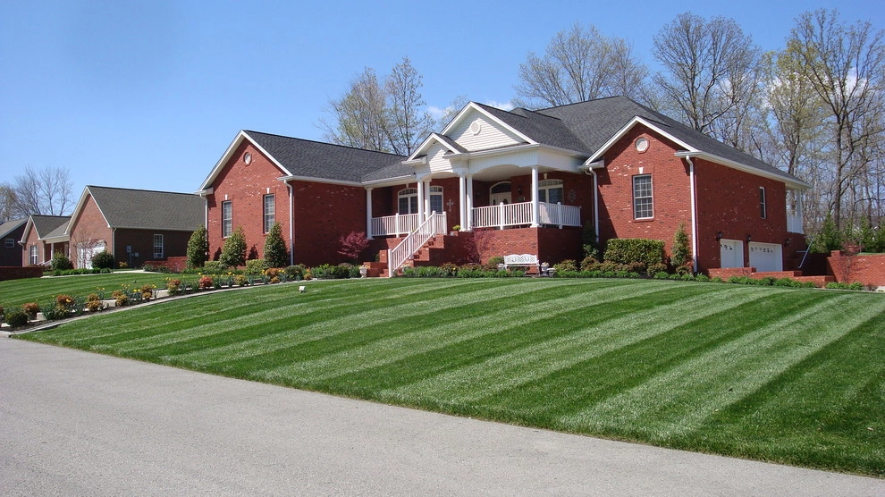 Safari Lawn & Landscape - Photo 5