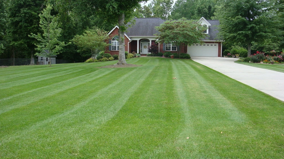 Safari Lawn & Landscape - Photo 3