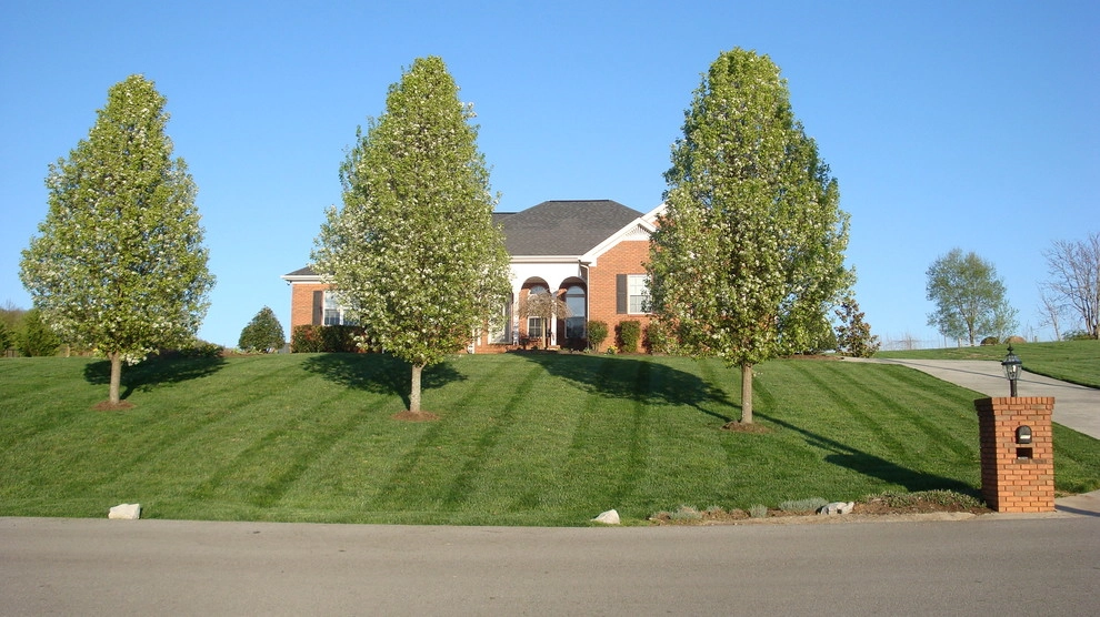 Landscapes by Safari Lawn & Landscape - Photo 26