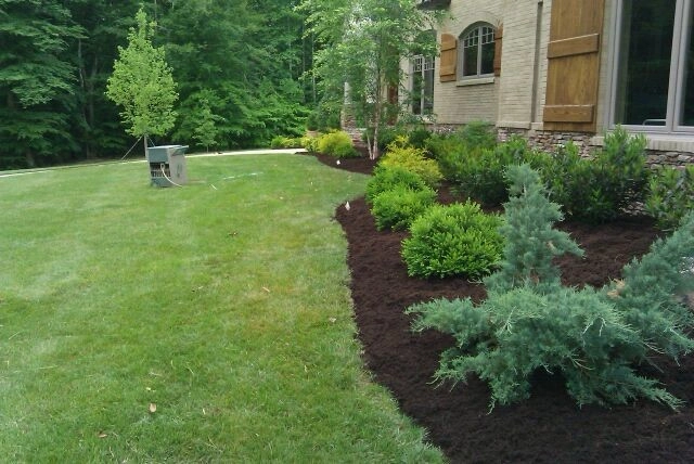 Safari Lawn & Landscape - Photo 14