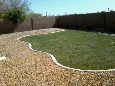Saguaro Landscaping And Pool Service LLC. - Photo 13