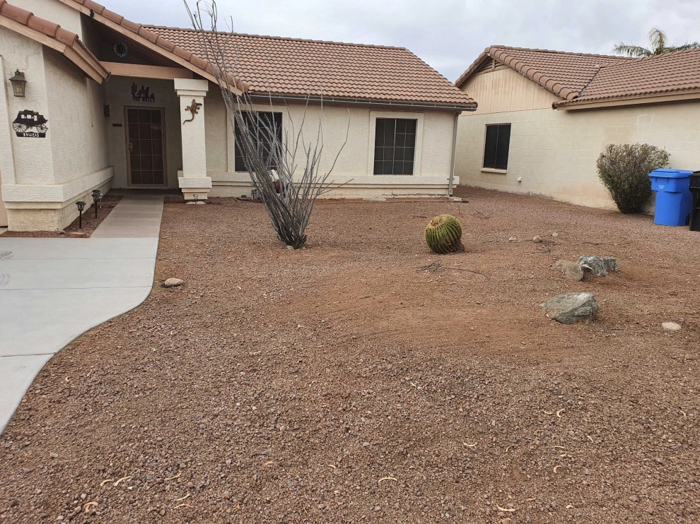 Saguaro Landscaping And Pool Service LLC. - Photo 4