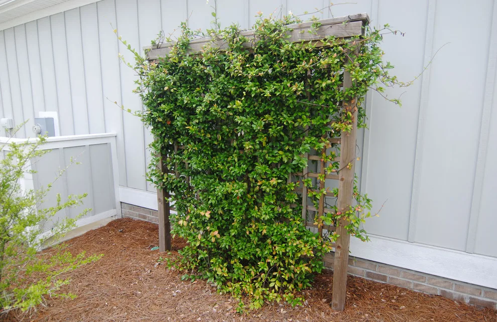 Gardeners' Paradise Outdoors by Deck Daddy's - Photo 9