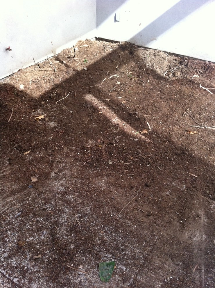 Custom Inner Atrium with fire feature by San Diego Landscape Solutions Inc - Photo 10