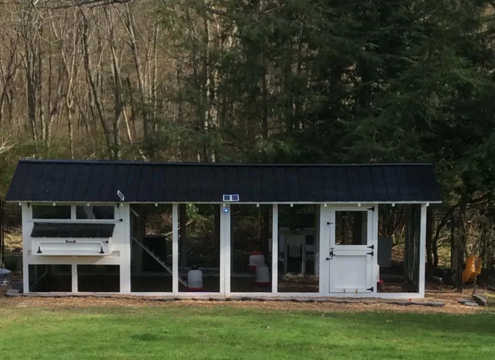 USA Coop - Poultry Houses by Carolina Coops - Photo 9