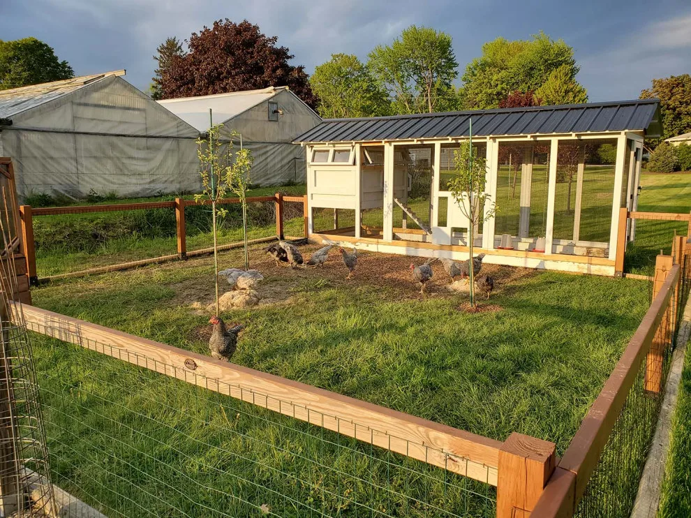 USA Coop - Poultry Houses by Carolina Coops - Photo 12