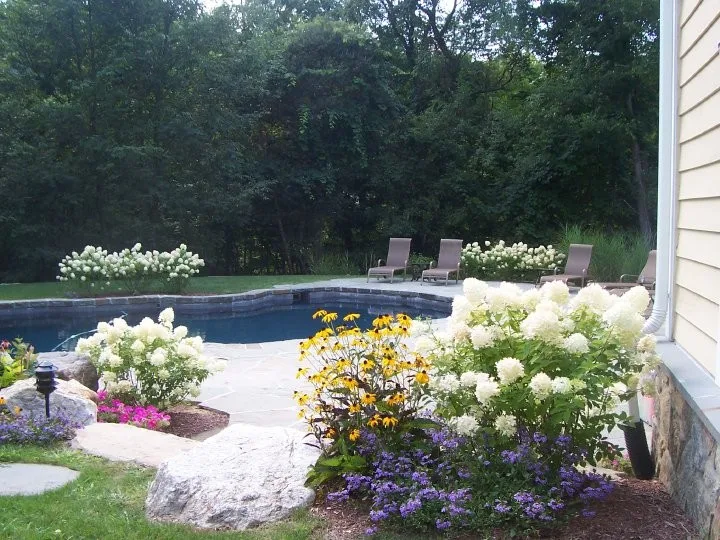 Diverse Flora Arrangements by Landmark Horticultural Management - Photo 4