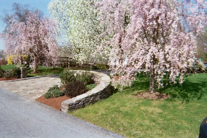 Diverse Flora Arrangements by Landmark Horticultural Management - Photo 5