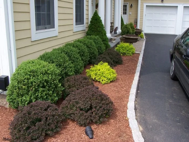 Diverse Flora Arrangements by Landmark Horticultural Management - Photo 7