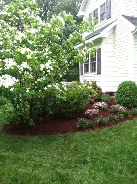 Diverse Flora Arrangements by Landmark Horticultural Management - Photo 8
