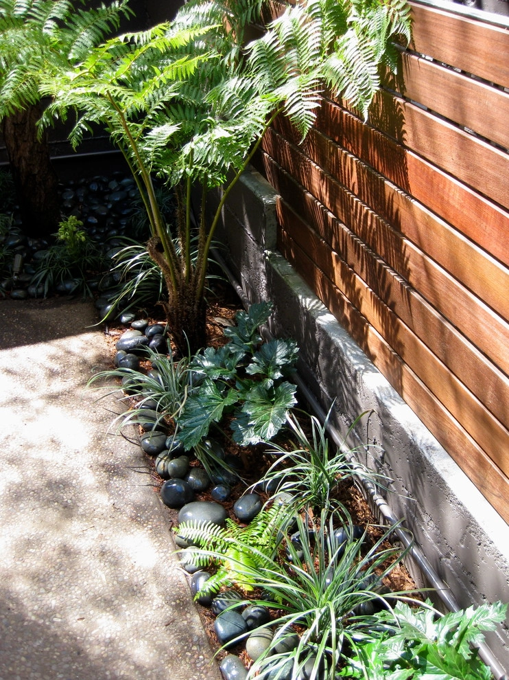 Panhandle by San Francisco Green Spaces - Photo 6