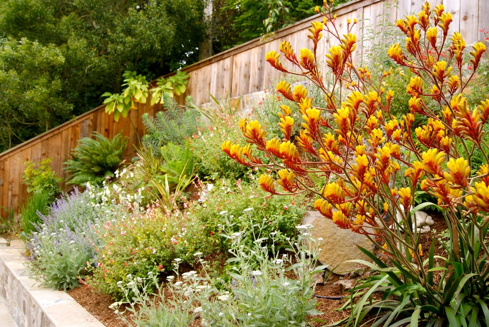 San Francisco Green Spaces - Photo 4
