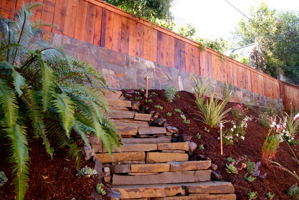 St. Francis Woods by San Francisco Green Spaces - Photo 4