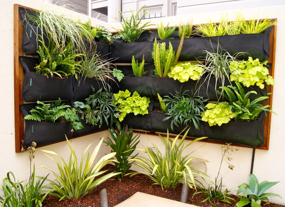 Pacific Heights by San Francisco Green Spaces - Photo 7