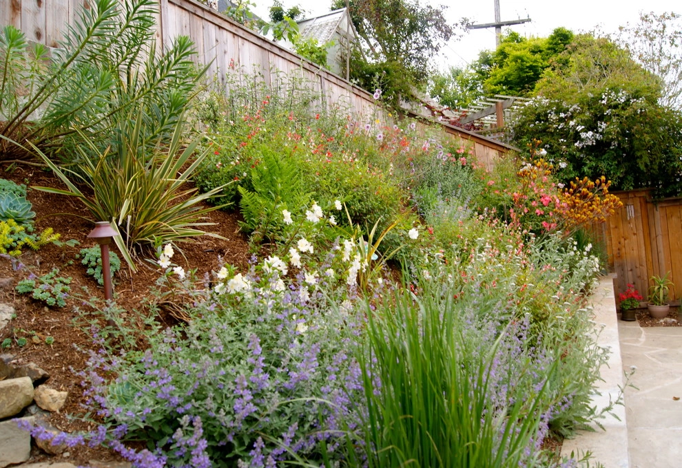 St. Francis Woods by San Francisco Green Spaces - Photo 3