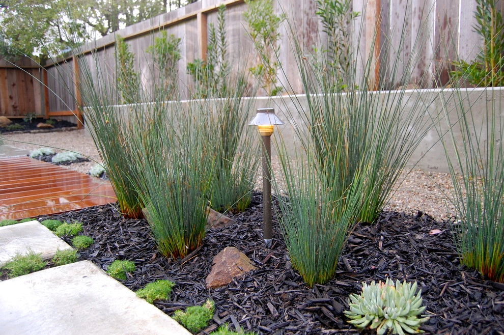 San Francisco Green Spaces - Photo 7