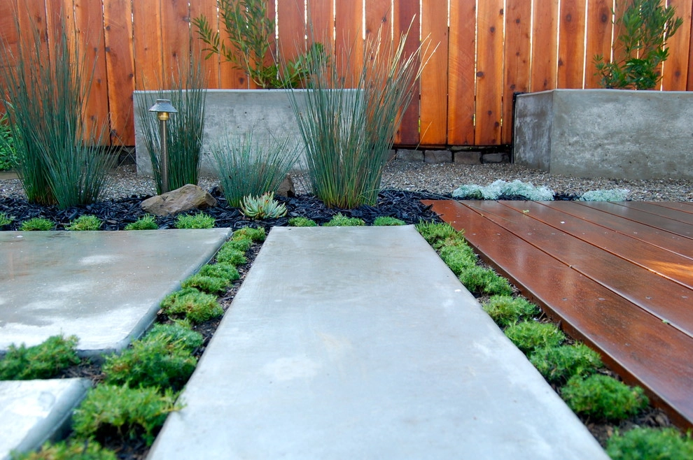San Francisco Green Spaces - Photo 5
