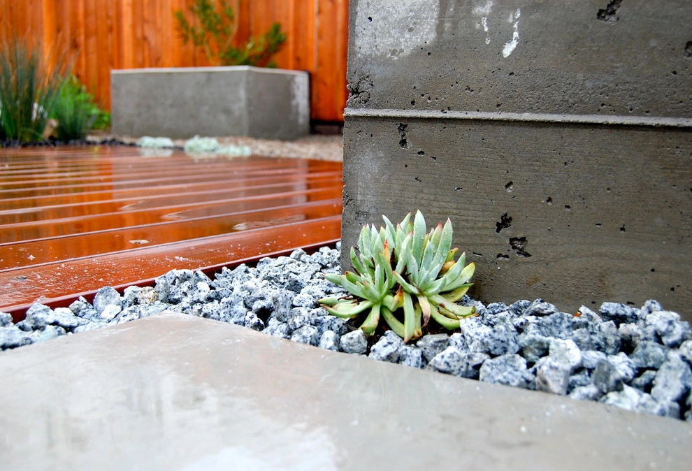 Outer Sunset by San Francisco Green Spaces - Photo 4