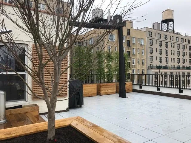 New York City Black Locust Rooftop Planters by Robi Decking - Photo 4