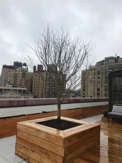 New York City Black Locust Rooftop Planters by Robi Decking - Photo 3