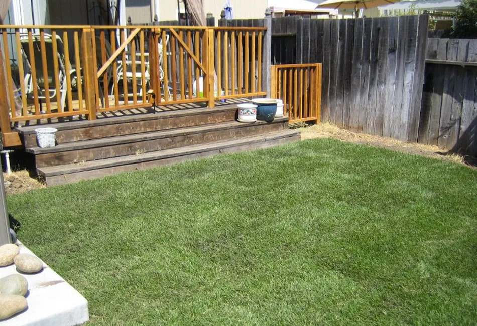 Tarantino's Yardscapes - Photo 4