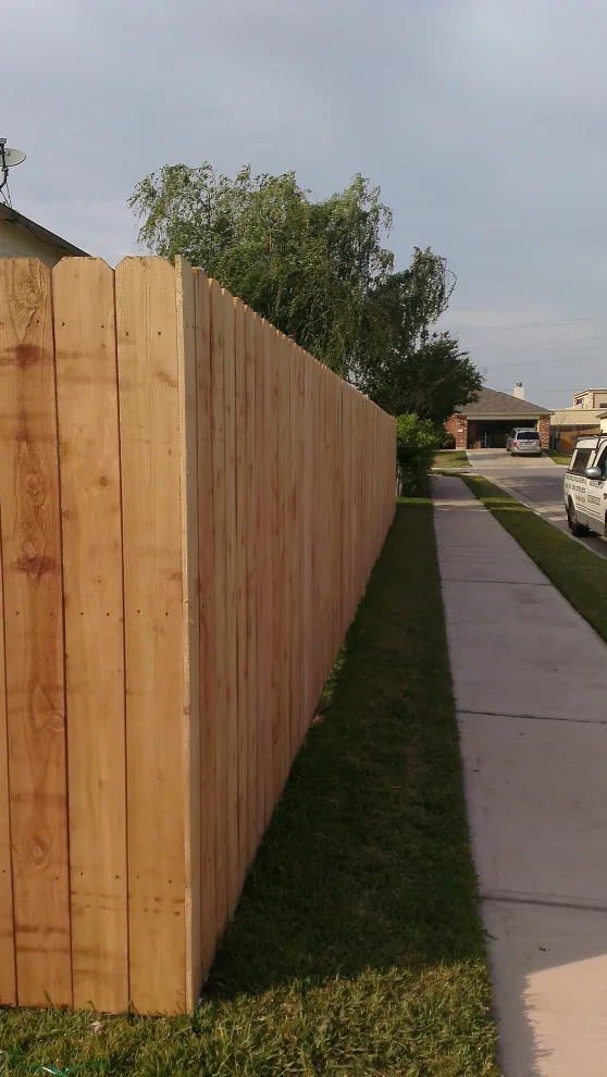 Cypress Barrier by Exterior Restoration Services LLC - Photo 2