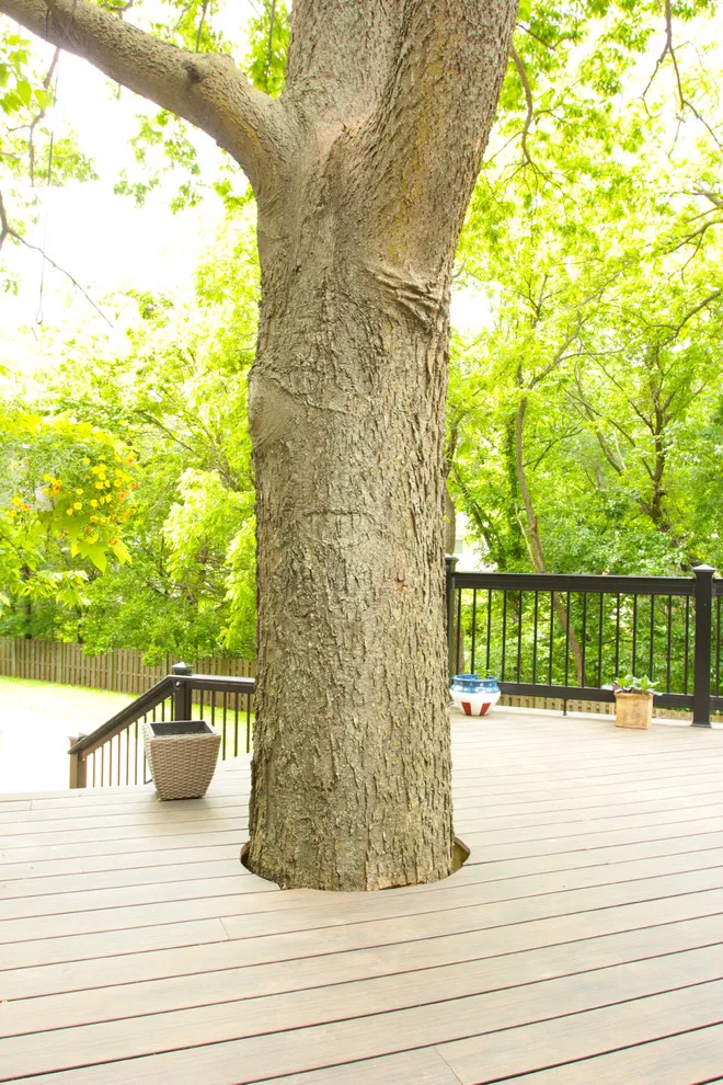 Spotlight on Certified Pro: Dan Milford and DW Elite Decks by Deckorators - Photo 4