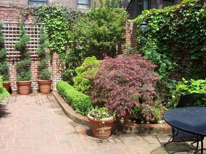 Urban Garden, Upper West Side NYC by Landmark Horticultural Management - Photo 3
