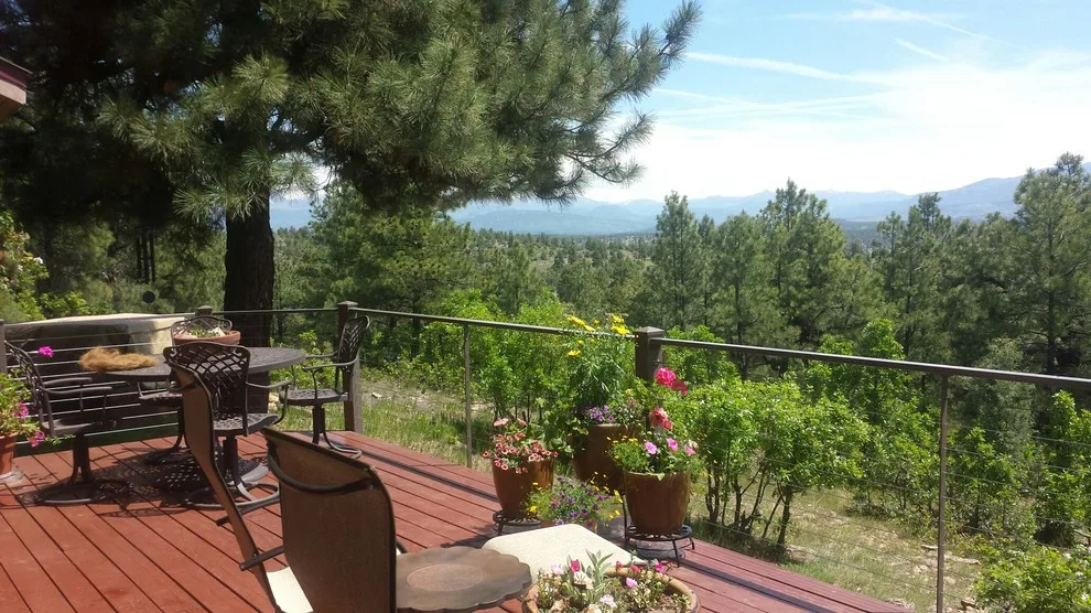 Colorado Dream Patio and Perspective by LUX Materials - Photo 5